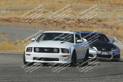 media/Feb-22-2025-Team Topak Racing (Sat) [[cb57a51a40]]/Intermediate Low 2/Turns 13 and 14/